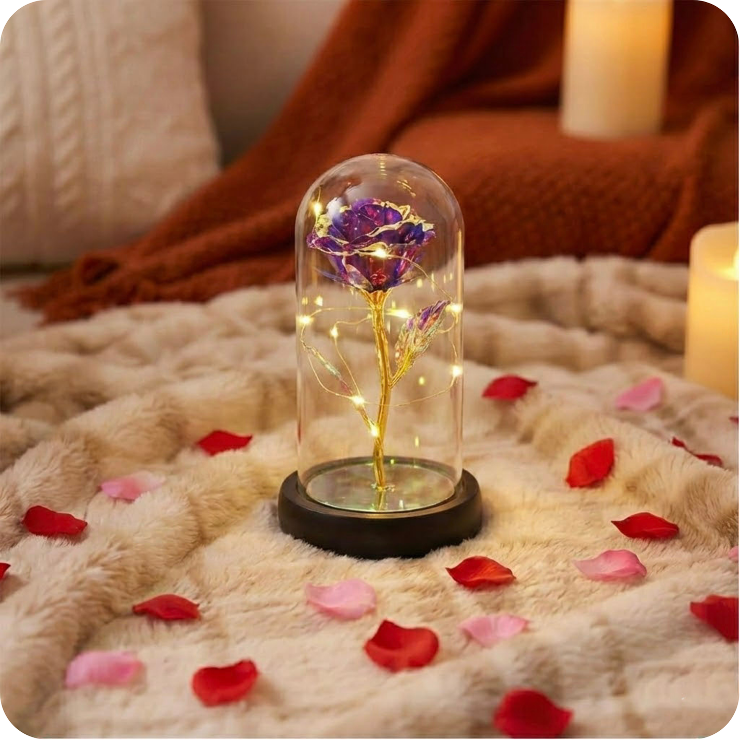 Rose éternel cristallisé